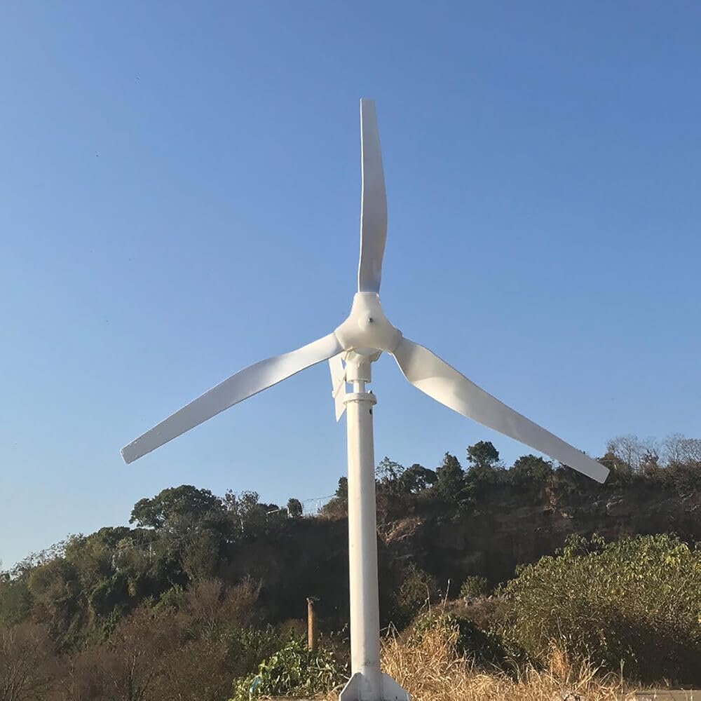 3000W 24V Wind Turbine Horizontal Wind Generator Kits 3KW with MPPT Controller to Charge Battery Off Grid Windmill (Without Mast)