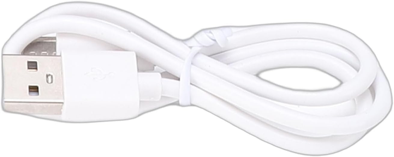 10W Electric Guitar Amplifier Rechargeable Portable Speaker with Headphone Jack USB C Rechargeable Battery for Outdoor Practice Travel, Studio