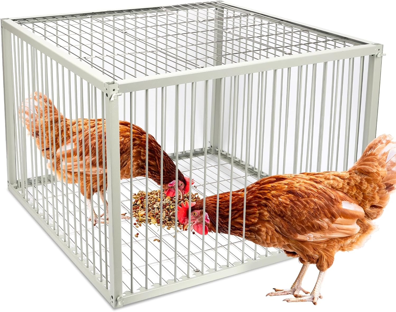 Heavy-Duty Pigeon Trap Cage with Escape-Proof Design – Auto Bird Traps for Large Birds | Chicken, Duck, and Turkey Traps.Iron Powder-Coated Bird Trap Cage for Multiple Birds – Rust-Resistant-XLSize