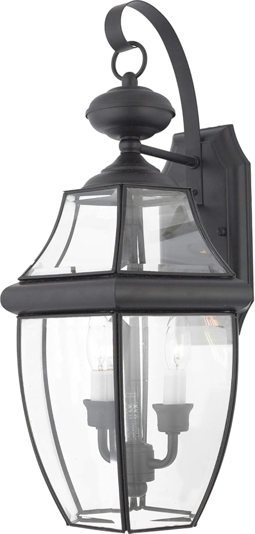 Quoizel Newbury Outdoor Wall Lantern, 20 Inch 2-Light Mystic Black Wall Sconce, French Country Exterior Wall Lantern Fixture, E12 Base, Clear Glass, Outside Lights for Patio, Porch, Garage or Yard