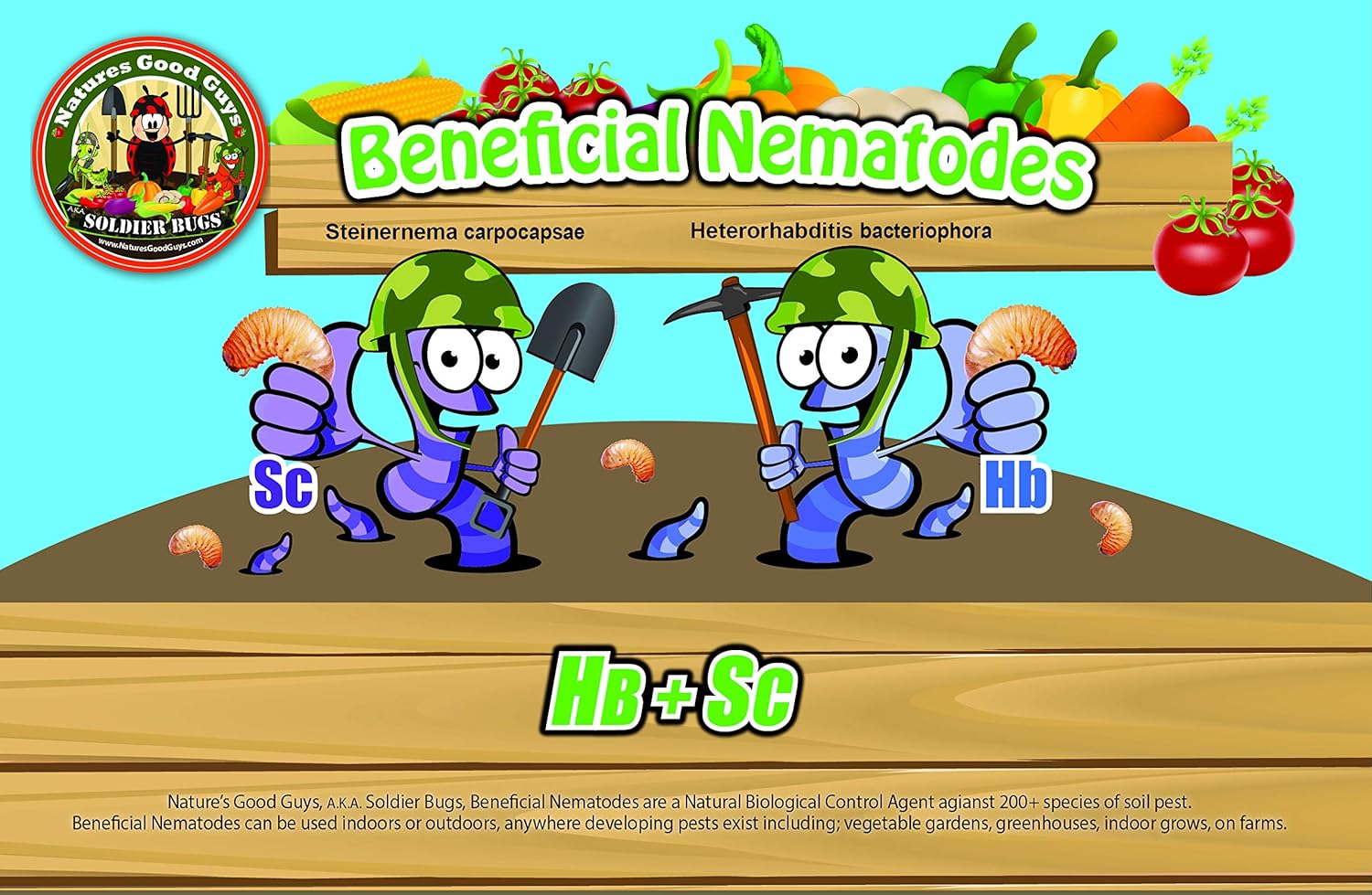 Bug Sales Live Beneficial Nematodes HB+SC (500 Million_Nematodes_HB+SC)