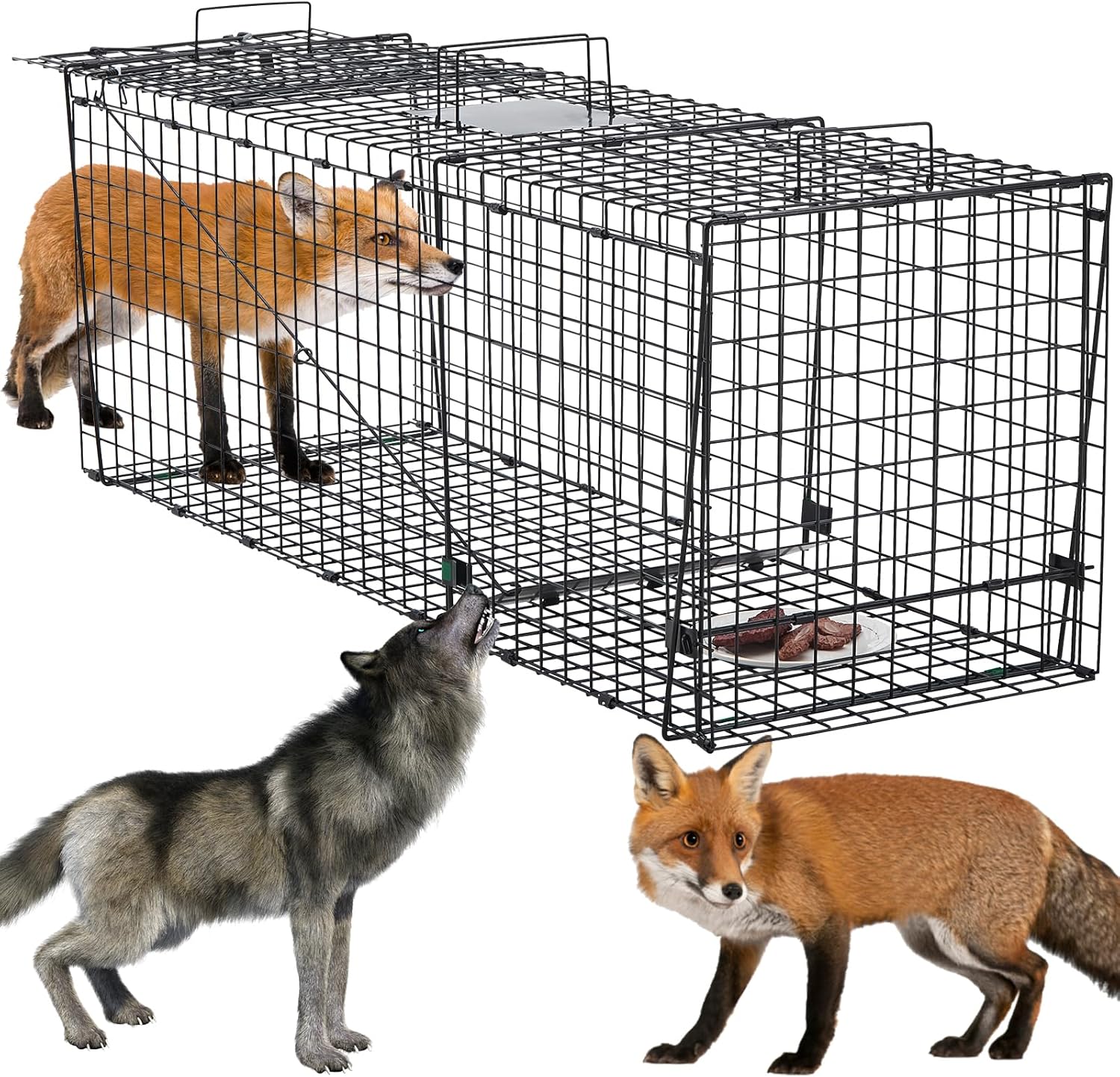 Heavy Duty 59 Inch Humane Live Animal Trap for Coyotes, Stray Dogs, and Other Similarly Sized Animals, Foldable