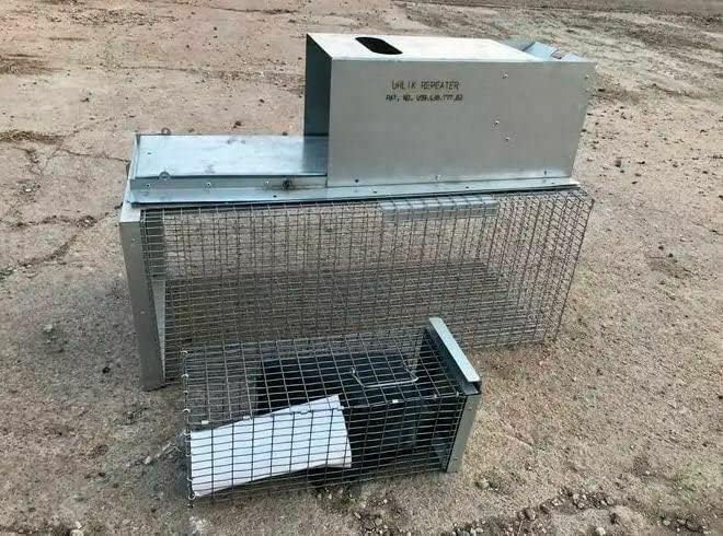 Repeater Live Repeater Trap for Rats, Mouse Trap Rat Traps