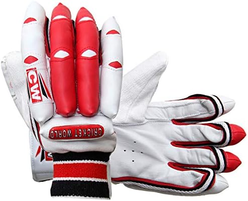 CW Storm Complete Cricket Set for Juniors Batting Cricket Accessories Including Kashmir Willow Bat Size 6 for Age Group 12-13 Years Old Club Coaching Set Full Training Aid Set with Bag