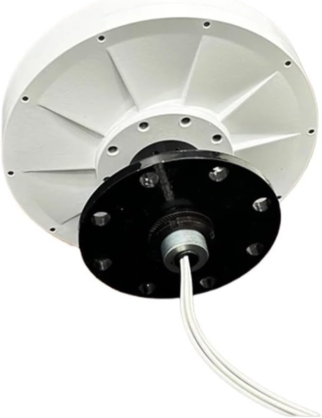 Wind Turbines, 200rpm 600W 24V 48V DC Generator Permanent Magnet Alternator Coreless Maglev DIY L Wind Turbine(48V)