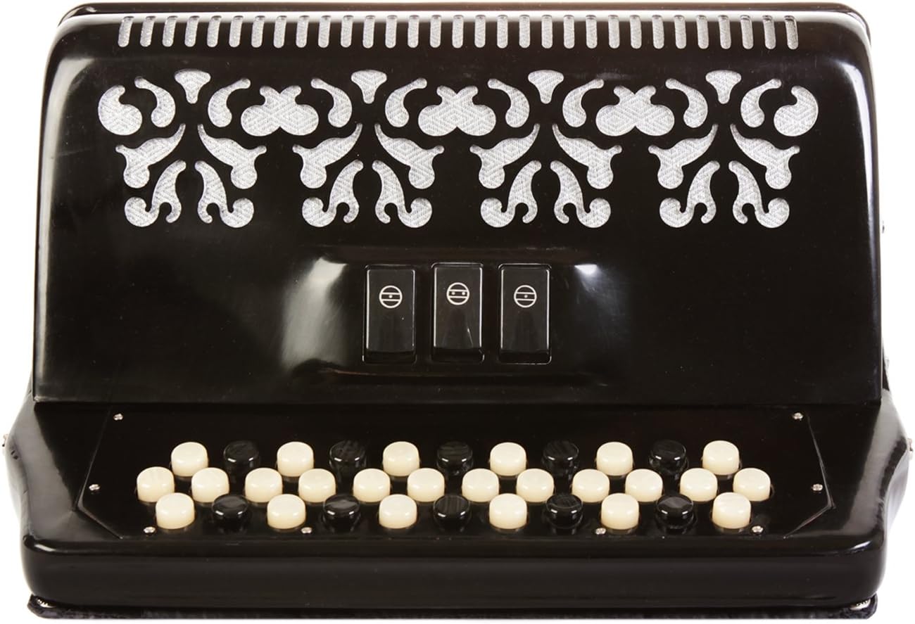 Rossetti, 34-Key Accordion (ROS3412-FBE-BK)