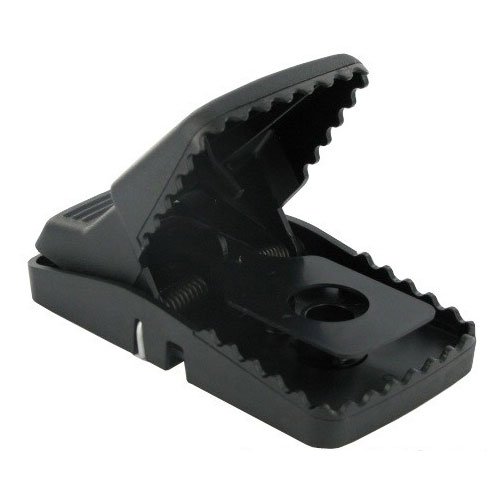 Trapper T-Rex Rat Snap Trap-24 traps BELL-10432cs