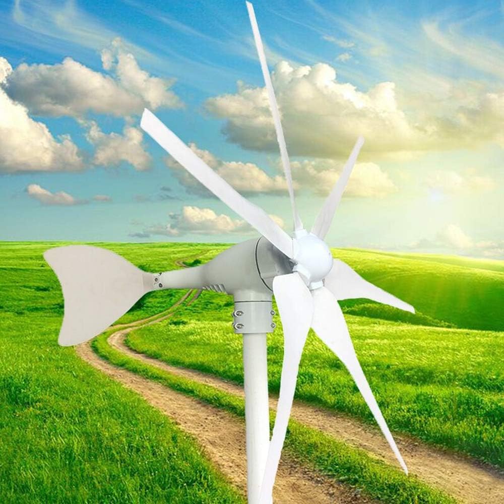 800W Horizontal 6 Blades Wind Generator Turbine 12V/24V Windmill with Charge Controller for Home Use,12v
