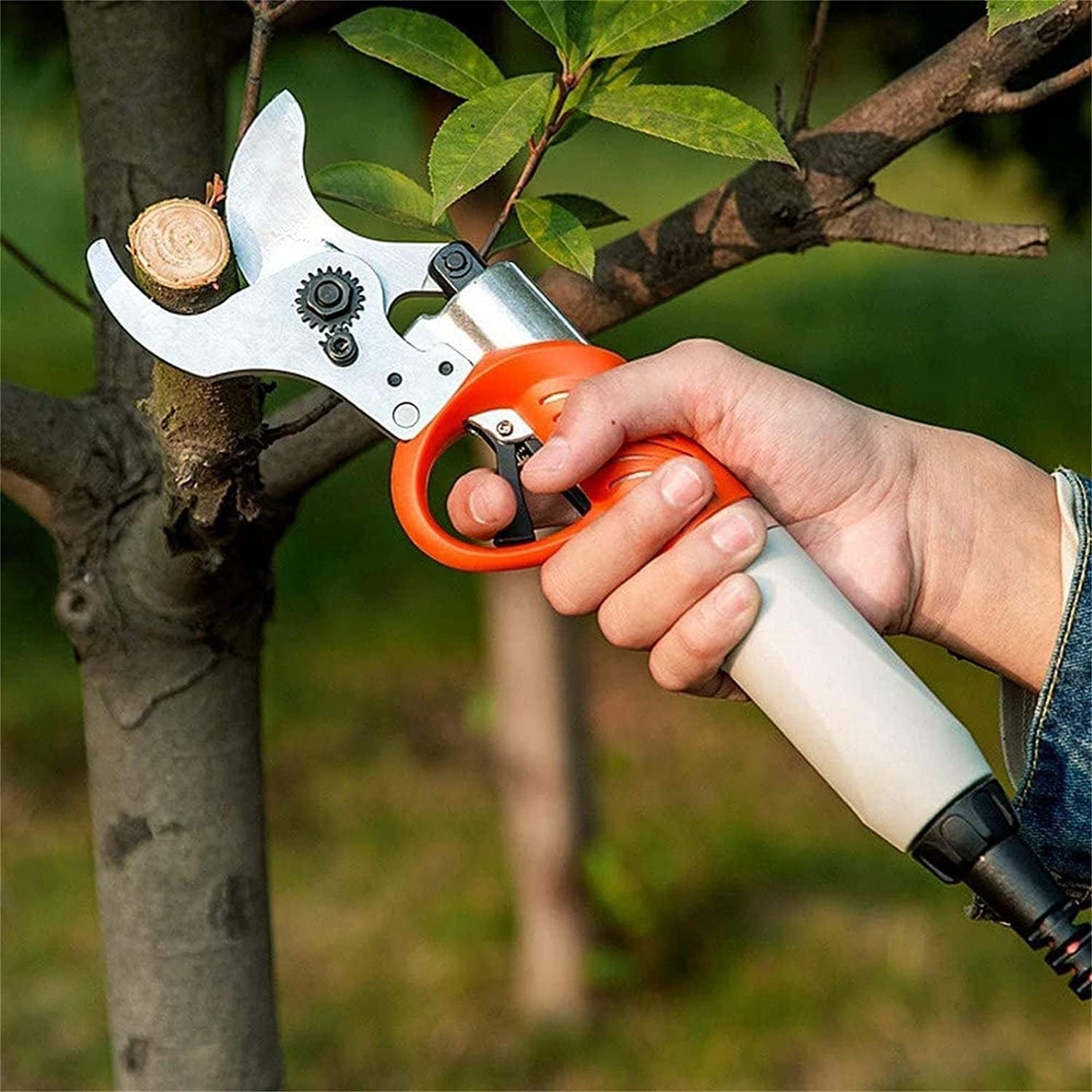 Electric Scissors, Tree Branch Prune 45Mm Professional Rechargeable Pruning Secateurs Piggyback 36 V Adjustable Tool Shears 8-10 Working Hours