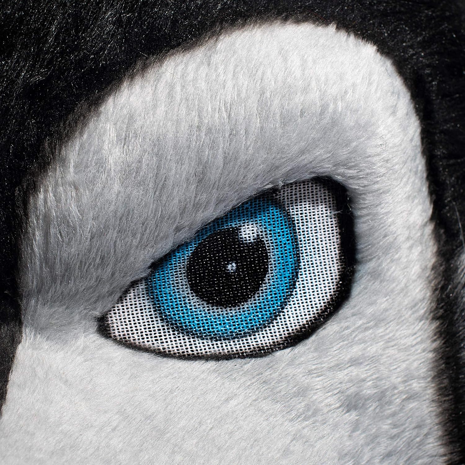 TCDesignerProducts Black Wolf Mascot Costume, School Spirit, Up to 6 Feet 4 Inches, School Spirit Sports Fan Gear, Football Cheerleader Accessories, Homecoming