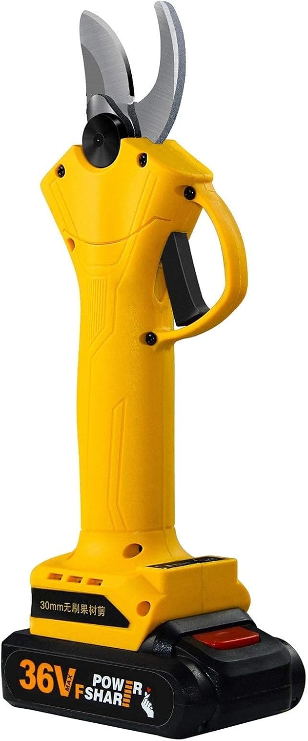 New Pruner,Professional Electric Pruning Shears 21V Cordless Electric Pruning Shears Garden Pruning Shears 30mm Cutting Diameter with 2Ah Lithium Battery Ally Designatte