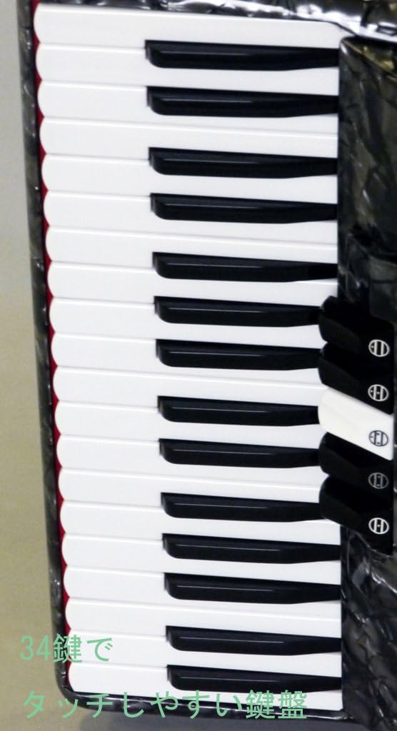 Tombo GT-60B Accordion Solo Dragonfly Cosmo Gray Pearl