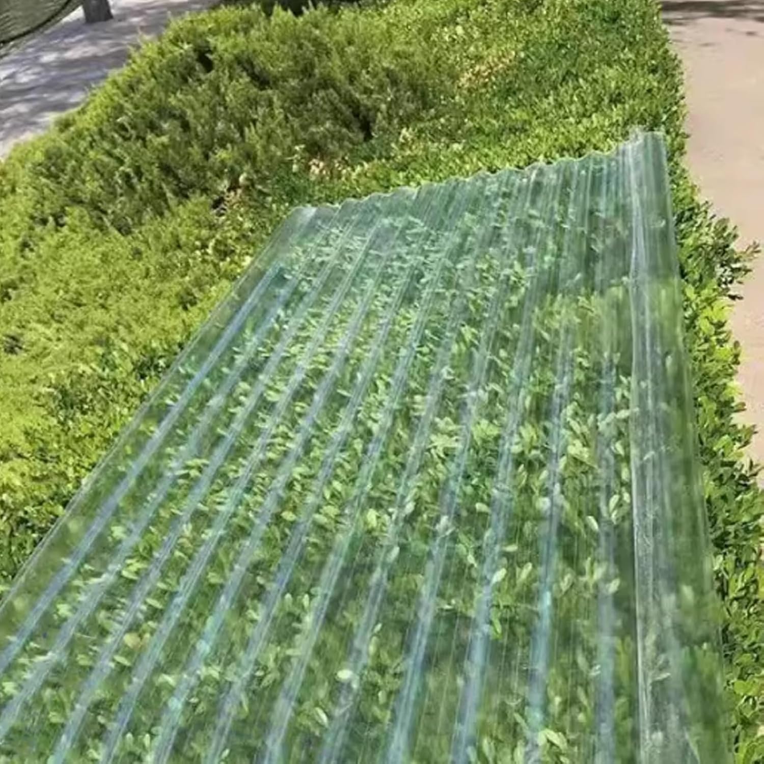 Greenhouse Polycarbonate Sheets, rain and Snow roof coverings for pergolas, Gardens and Outdoor terraces, with a Thickness of 1.0 mm(6Pcs,35x43in)