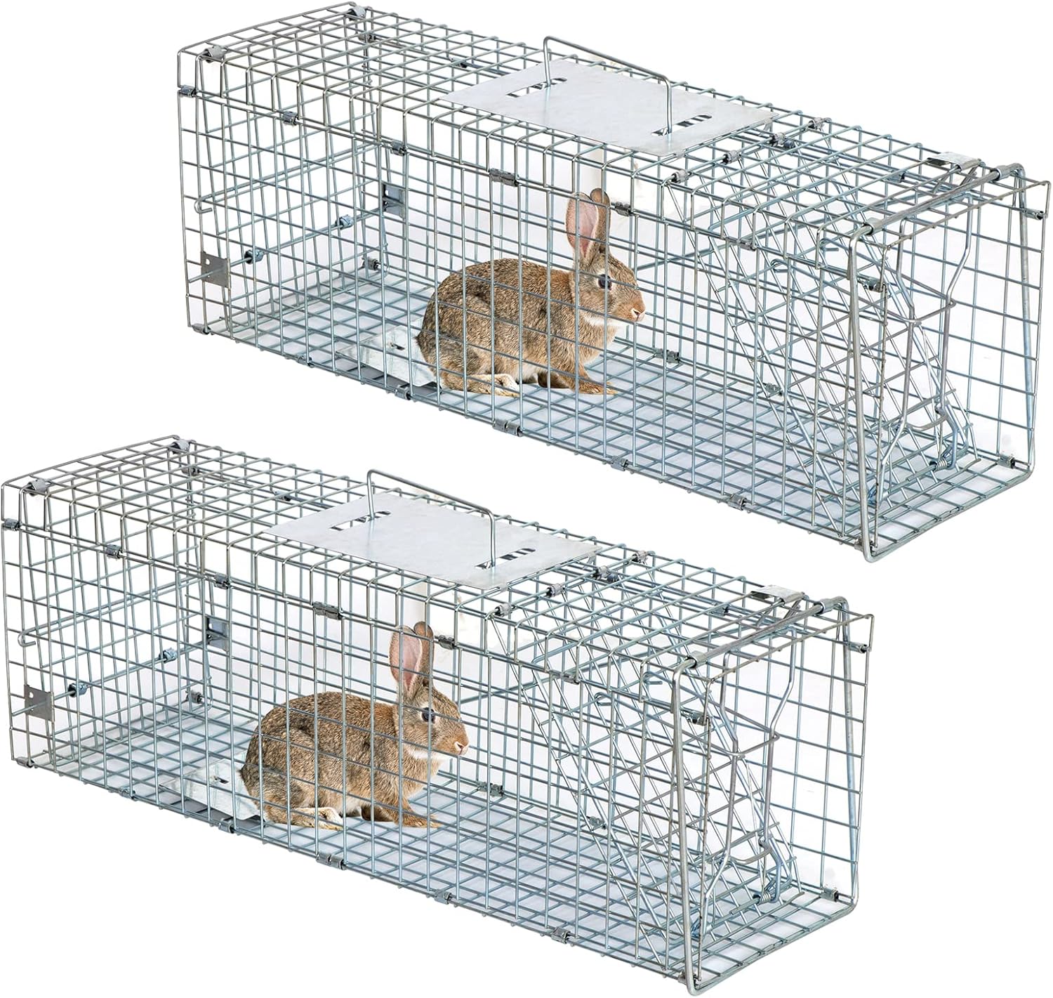 JungleA Animal Trap 24 Inches Cage Trap 1-Iron Door Foldable Live Catch Cage Catch Release Humane Rodent Cage for Raccoons, Cats, Groundhogs, Opossums,Squirrel, 2 Pack