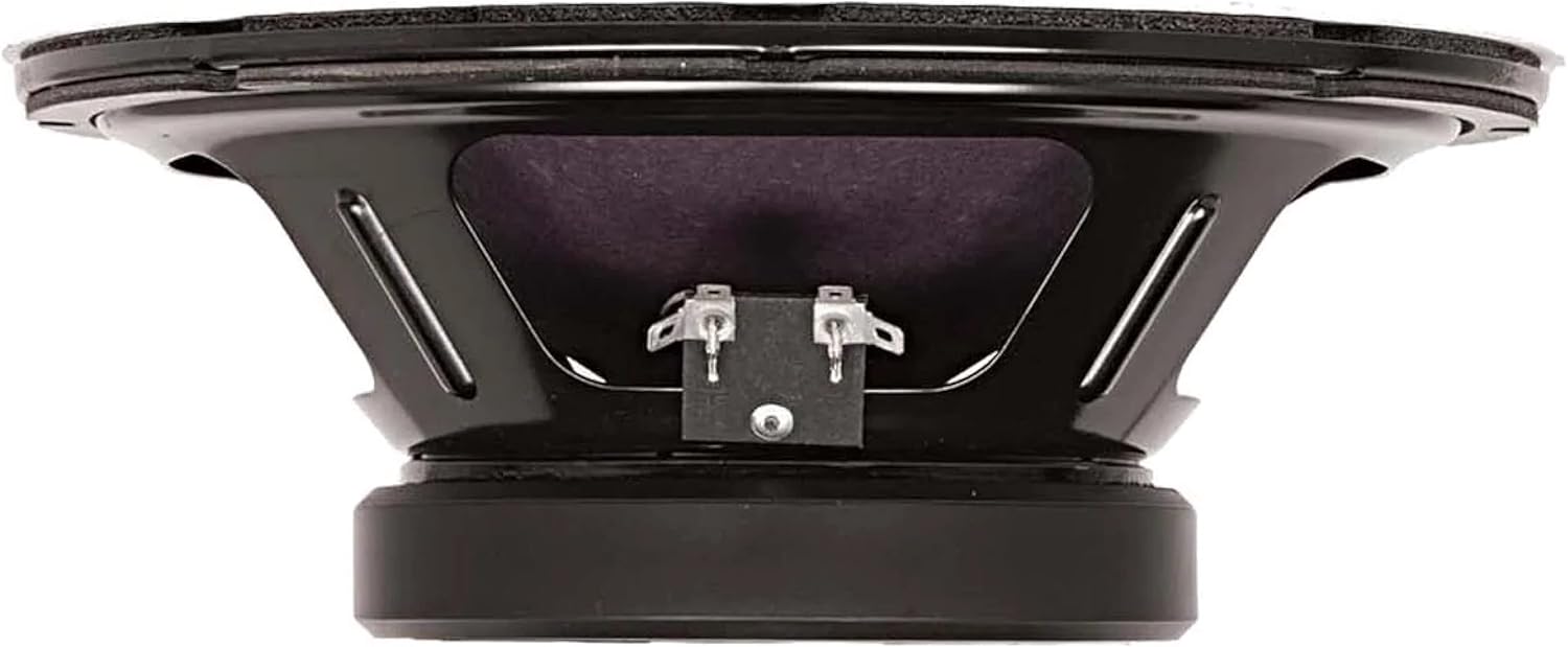 Eminence Ragin Cajun Patriot Series 10