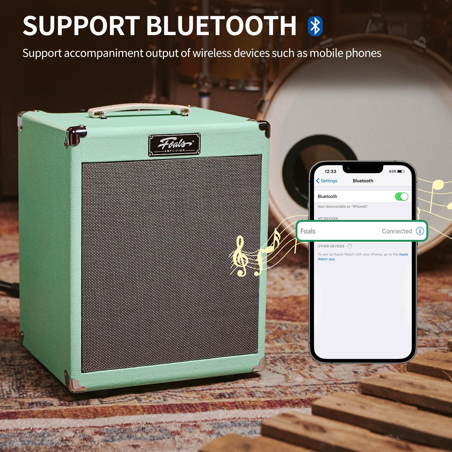 FOALS FK30 30W Electric Bass Amp – 8