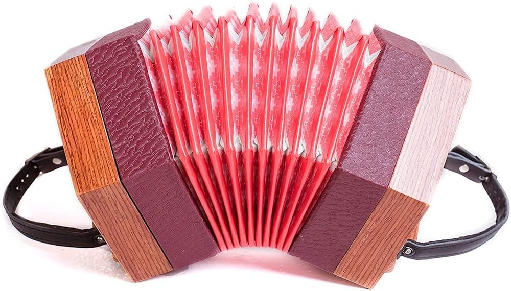 30 Buttons Concertina, Educational Musical Instrument, Fascinating & Softer Sound, Excellent Gift for Amateur Beginner Children Friends