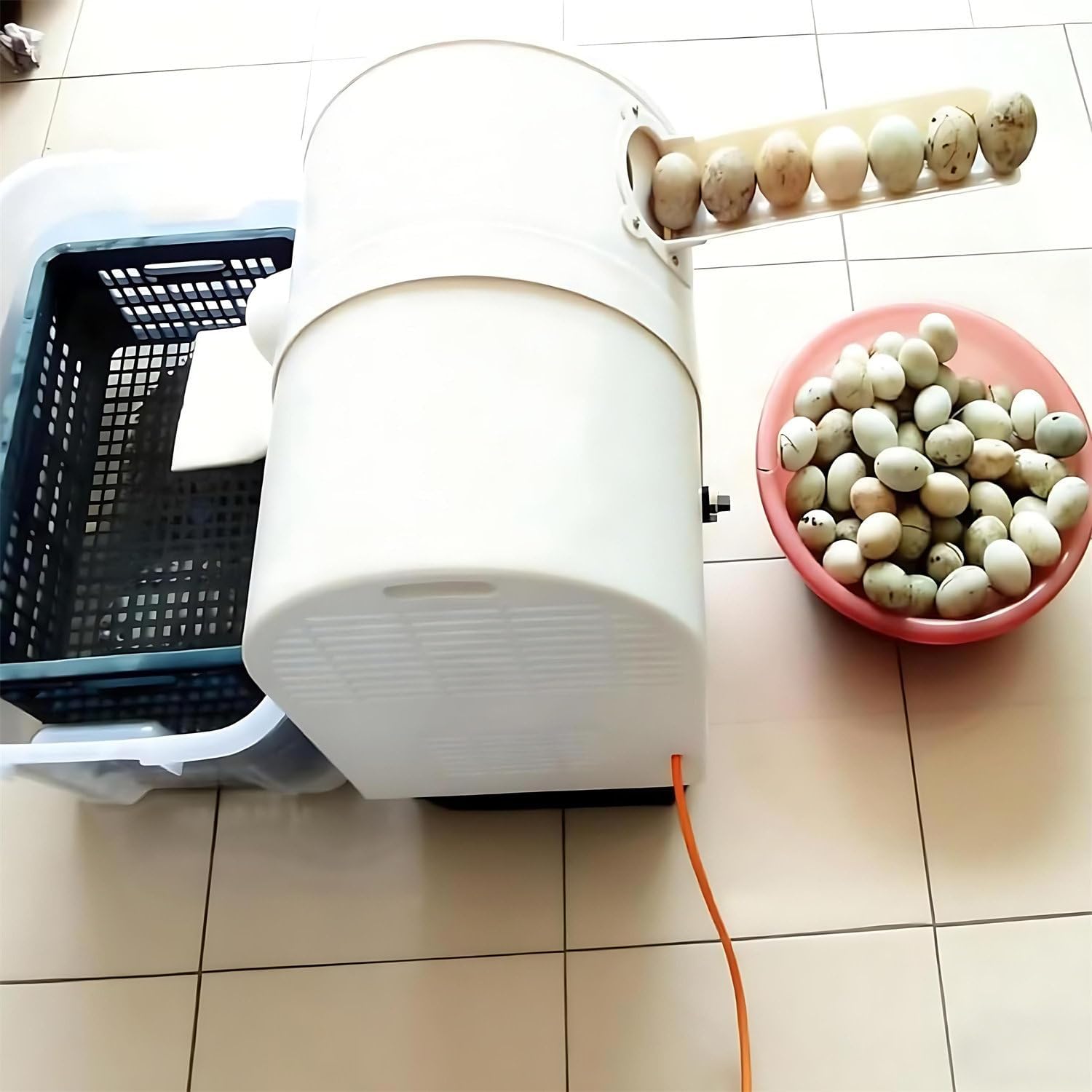 Automatic Egg Washing Machine for Fresh Eggs - 2300 Pcs/H Electric Egg Washer Machine with Roller Brush, Compact Egg Cleaning Brush Machine Tool for Chicken Duck Goose Egg Egg Cleaner