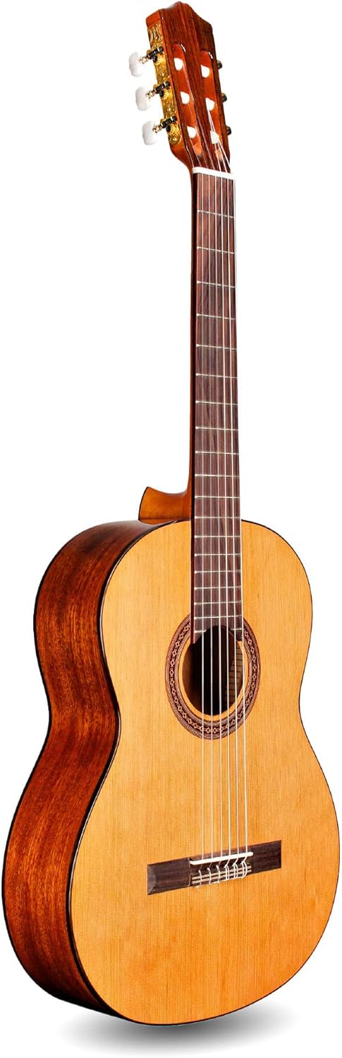 Cordoba C5 CD Lefty Classical Acoustic Nylon String Guitar, Iberia Series