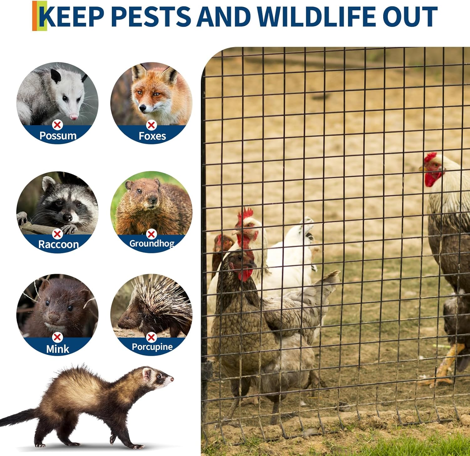 Hardware Cloth 1/2 in - 48 in x 100 ft Galvanized Chicken Wire Mesh Roll, Hot-Dipped After Welding for Chicken Coop Accessories, Rabbit Cages & Poultry Netting – Durable Chicken Wire Fencing, Black