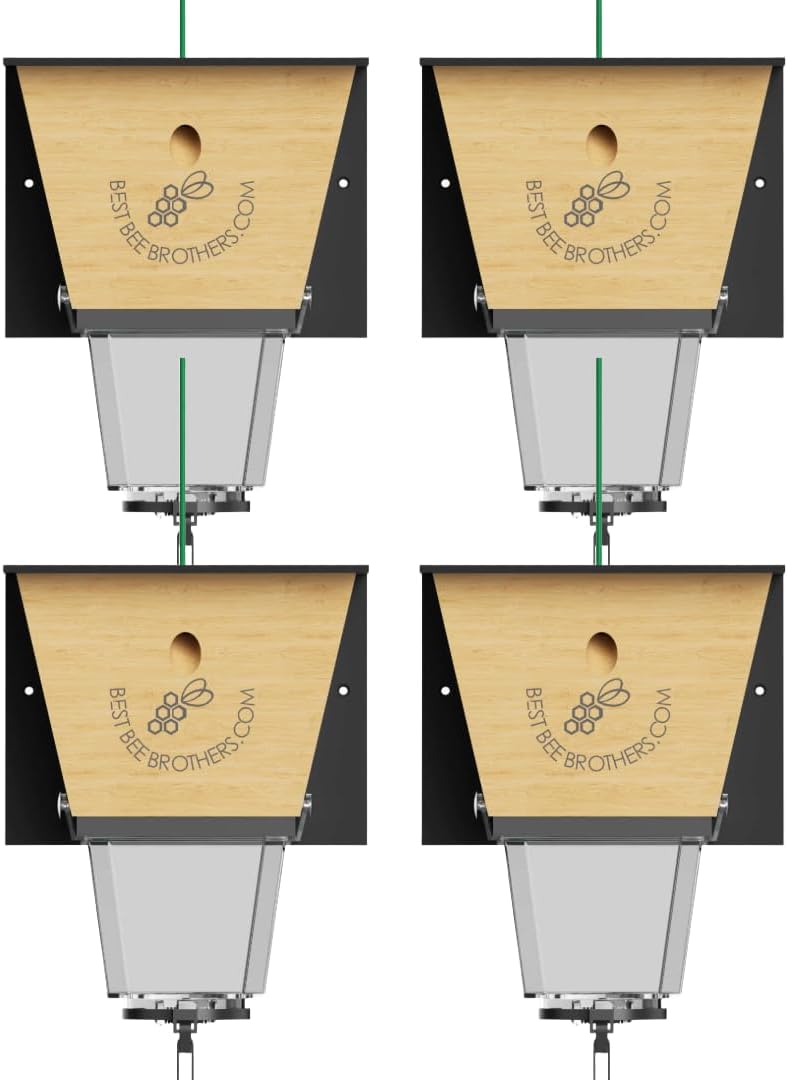 Best Bee Brothers Ultimate Pro Carpenter Bee Trap for Outside with Extra-Large, Clear External Bee Vault & Spring-Loaded Door, 4.2” D x 5.8” W x 7.5” H (4 Pack)