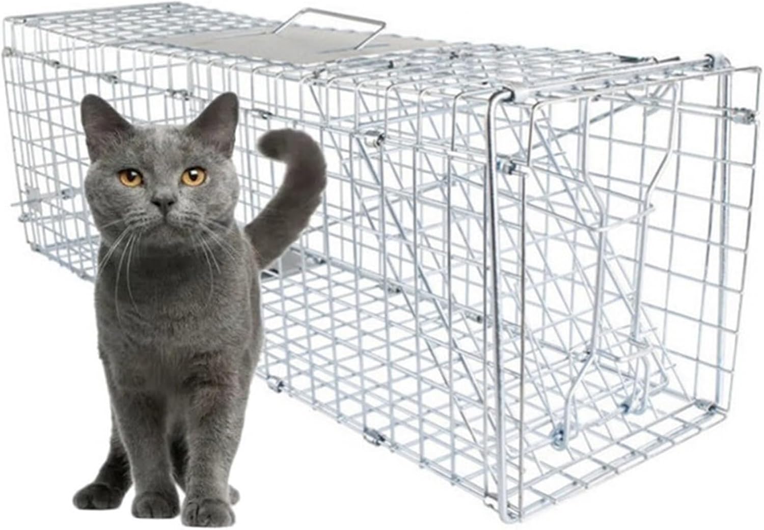 32in Large Live Animal Cage Trap Rabbits, Outdoor Humane Cat Trap Folding Cat Traps for Strays Feral for Racoon, Armadillos, Groundhogs