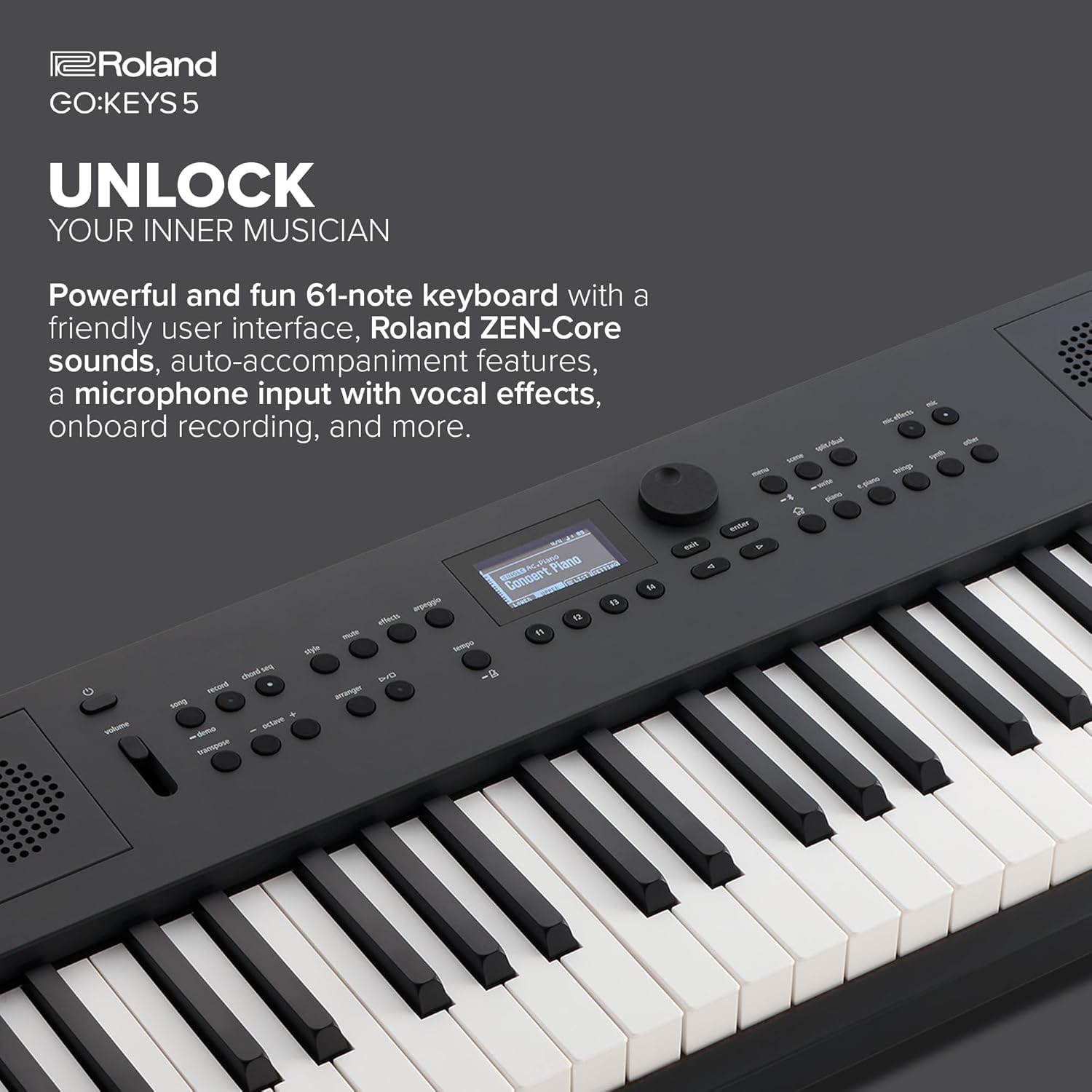 Roland GO:KEYS 5 Music Creation Keyboard | 61-Note Keyboard | Built-In Stereo Speakers | Mic Input | Bluetooth Audio/MIDI Support for Music Streaming - Graphite