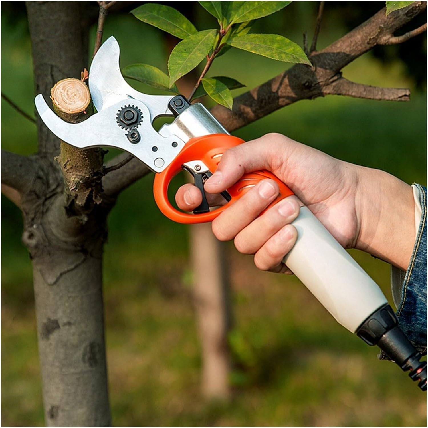 Tree Branch Pruner 4.5Cm Electric Pruner Shears 450W 4400Mah Lithium Battery Orchard Scissors Electric Pruning Shear Fruit Tree Garden Tools Sharp, Po