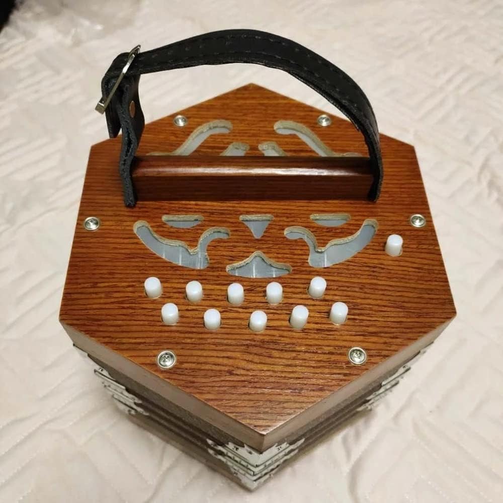 20 Buttons Piano Accordion, Professional Accordion Concertina, Musical Instrument, With Carrying Bag, Excellent Gift For Children Friends