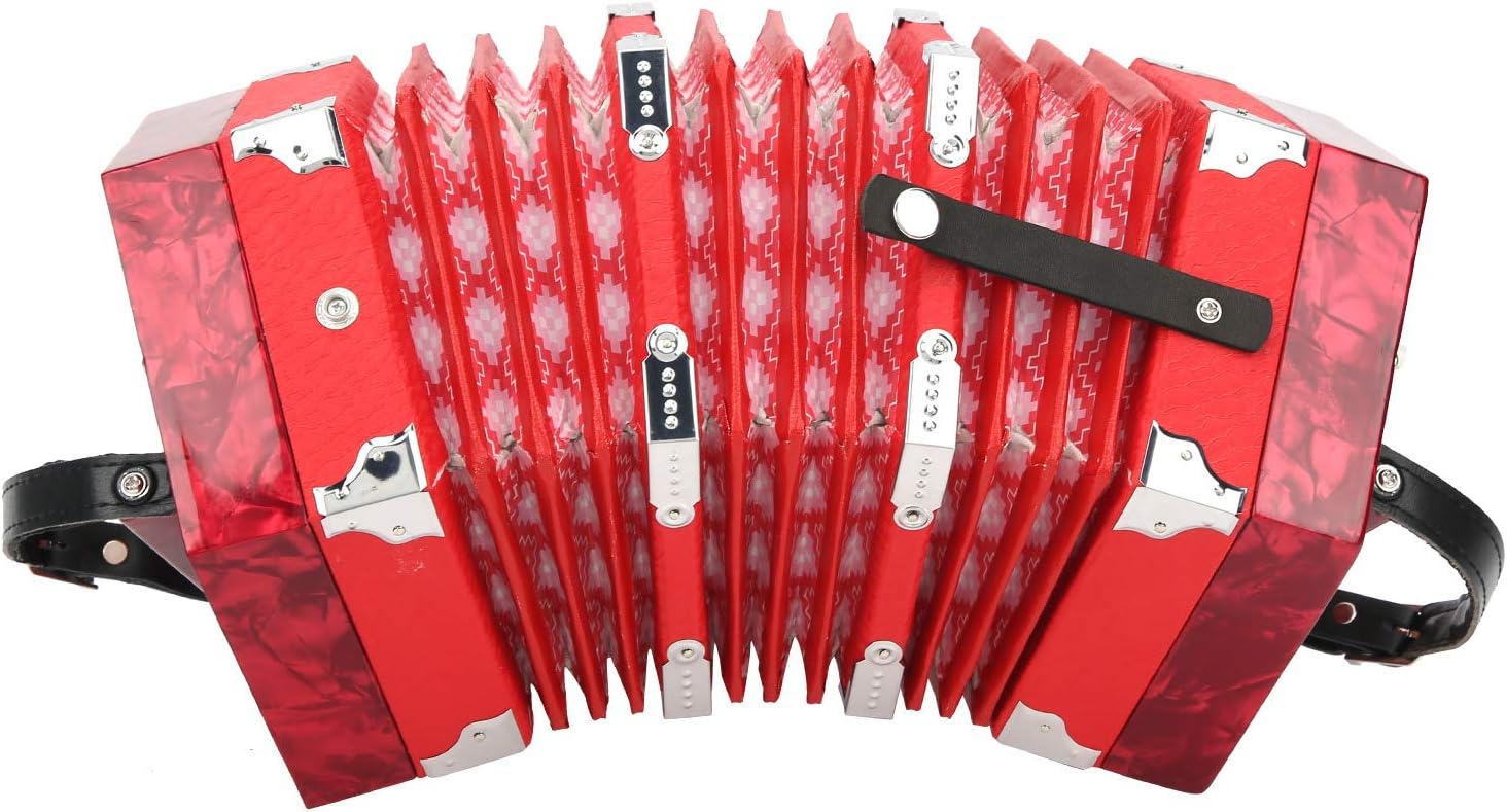 Fydun Con Ion, Concertina Accordion Portable Professional for Adults Ion, 20 Accordions Musical Instrument Supplies Blue (Red)