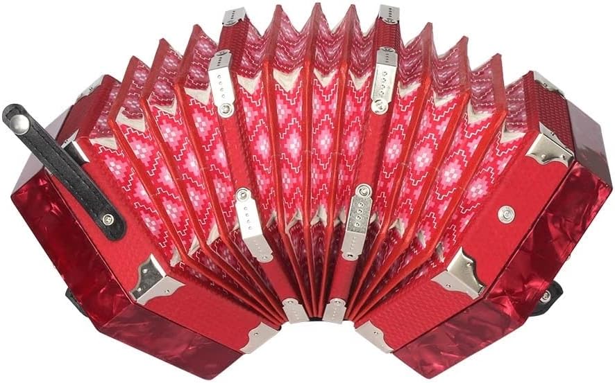 Accordion Concertina with 20 Keys, Music Accordion Instrument, Educational Musical Instrument, with Carry Bag, for Amateur Beginner