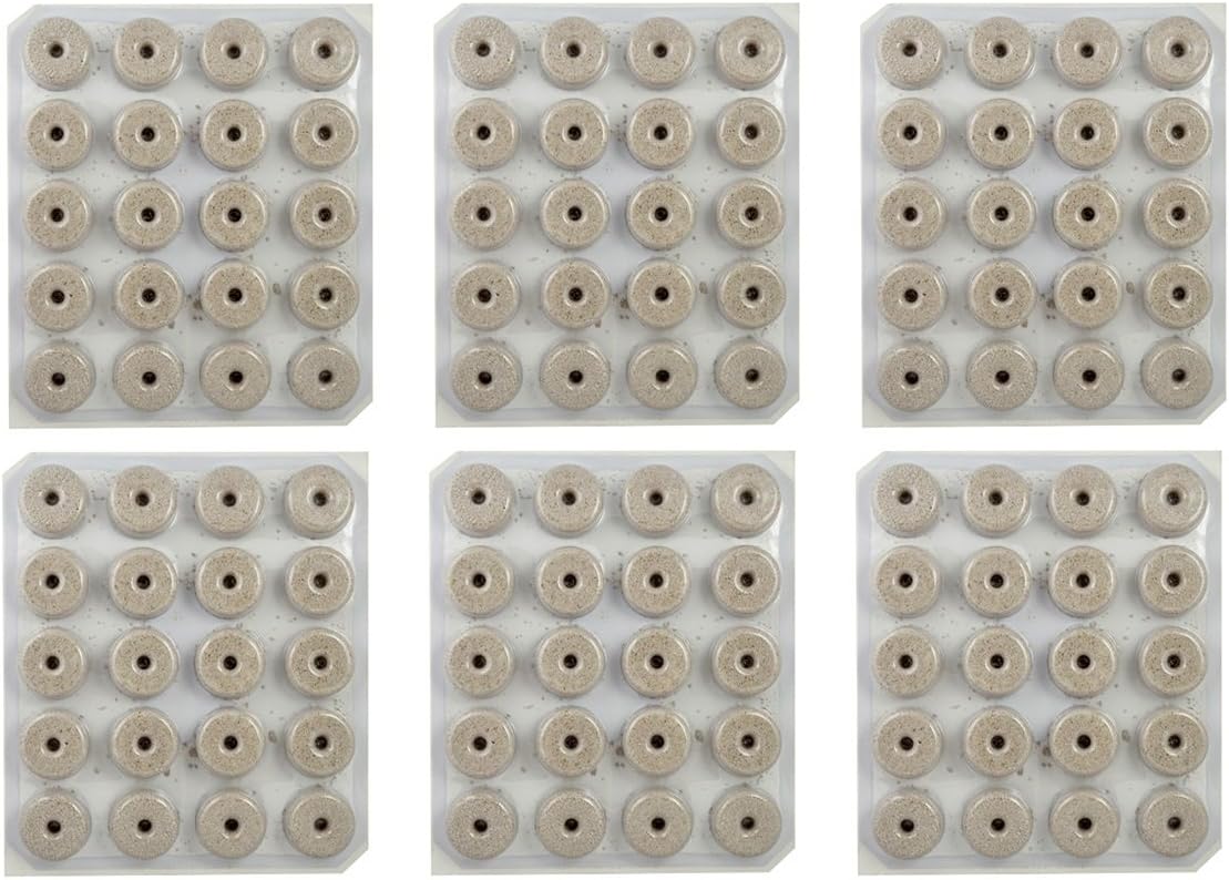 INSECT MOSQUITO DUNK20PK