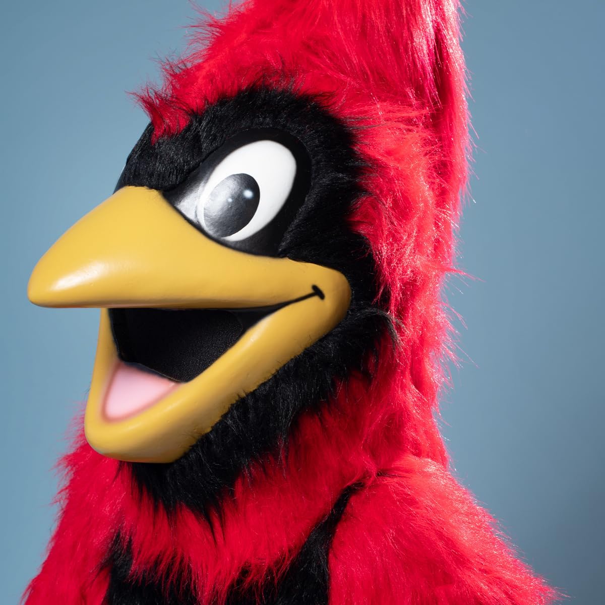 TCDesignerProducts Friendly Red Cardinal Mascot Costume, School Spirit Sports Fan Gear, Football Cheerleader Accessories, Homecoming