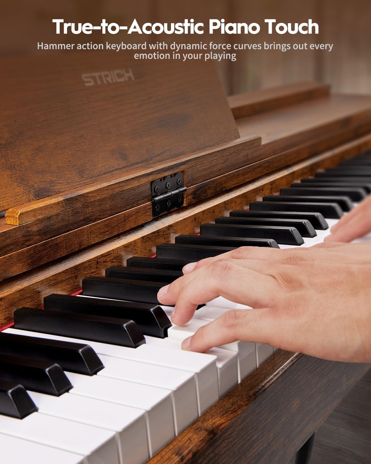 STRICH 88 Key Digital Piano & Piano Bench