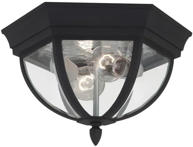 Sea Gull Lighting 78136-12 Wynfield Two-Light Outdoor Ceiling Flush Mount Hanging Modern Light Fixture, Black Finish
