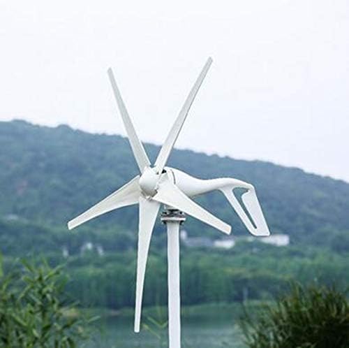 600W Horizontal Wind Generator Turbine 12V/24V Windmill with 5 Blades and Charge Controller for Home Use,12v