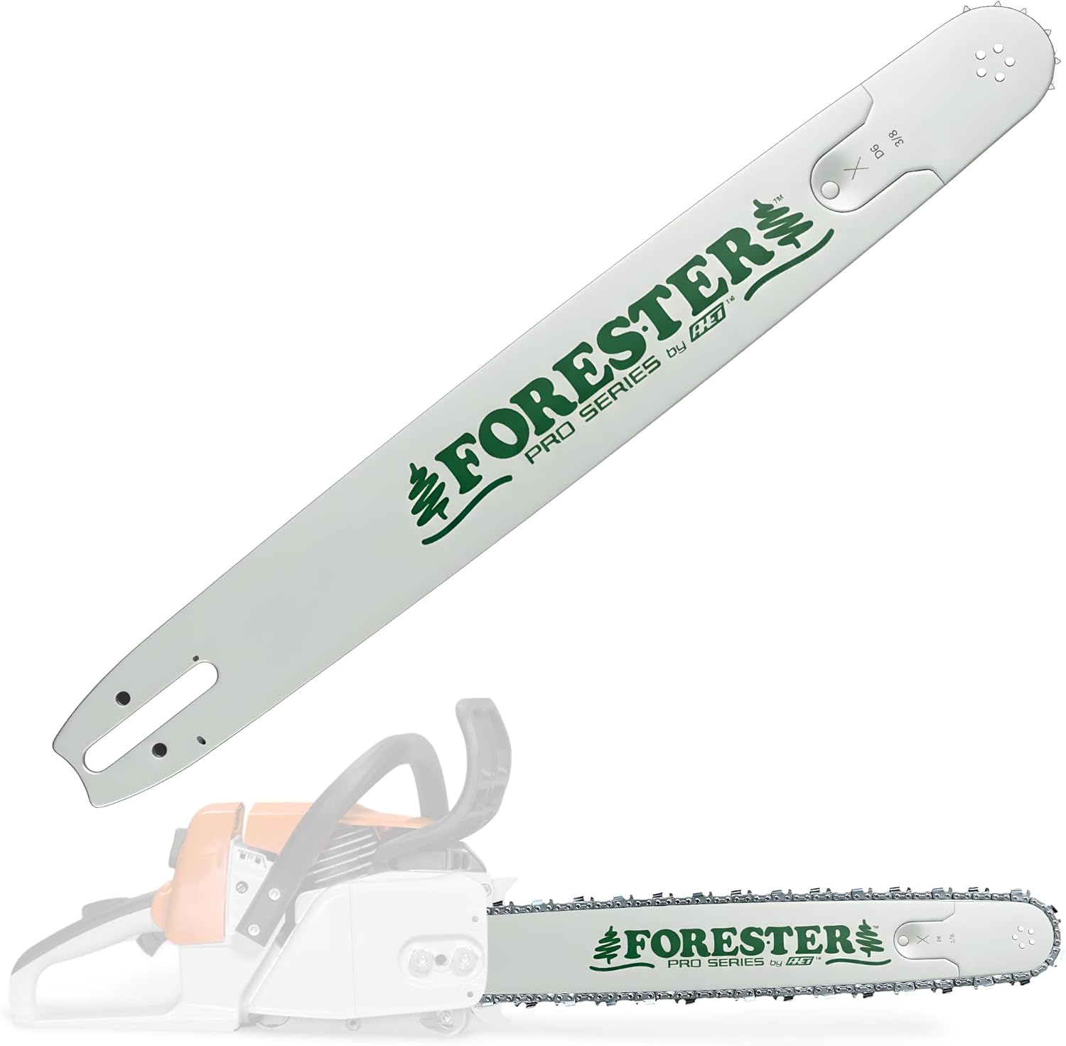 FORESTER 36