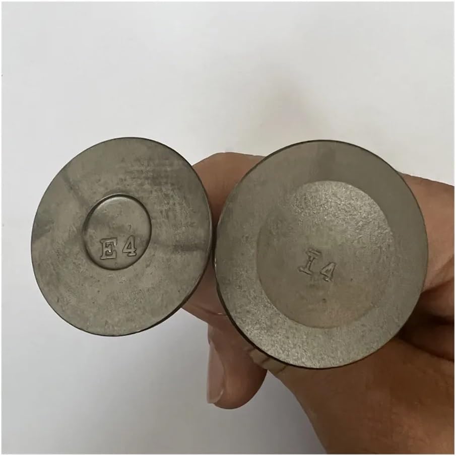 .& Set Fit for EX40 I4 E4 Engine Generator Inlet Outlet