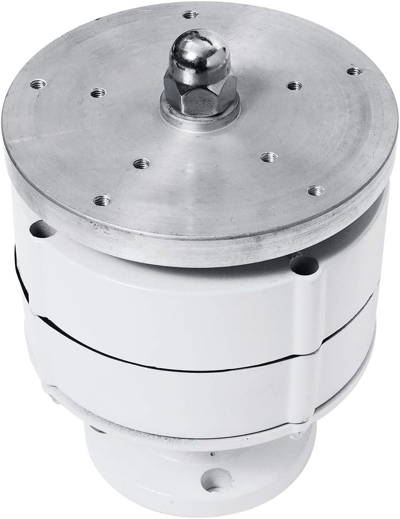 8000W 12V 24V 5 Blades Vertical Axis Wind Turbines Generator Lantern Motor Kit for Home Hybrids Streetlight Use Electromagnetic