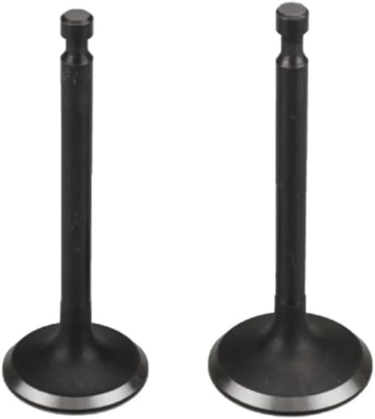 EX40 .& Set fit for EX40 Engine Generator Inlet Outlet