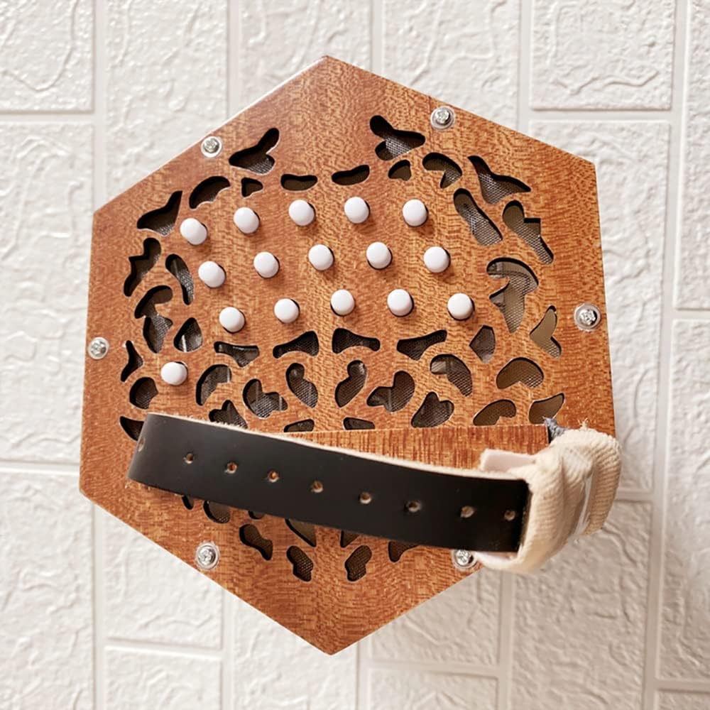 30 Buttons Concertina Accordion, Hand Piano Accordion Music Instrument, With Carrying Bag, Adjustable Hand Strap, Musical Instrument For Adults Beginners