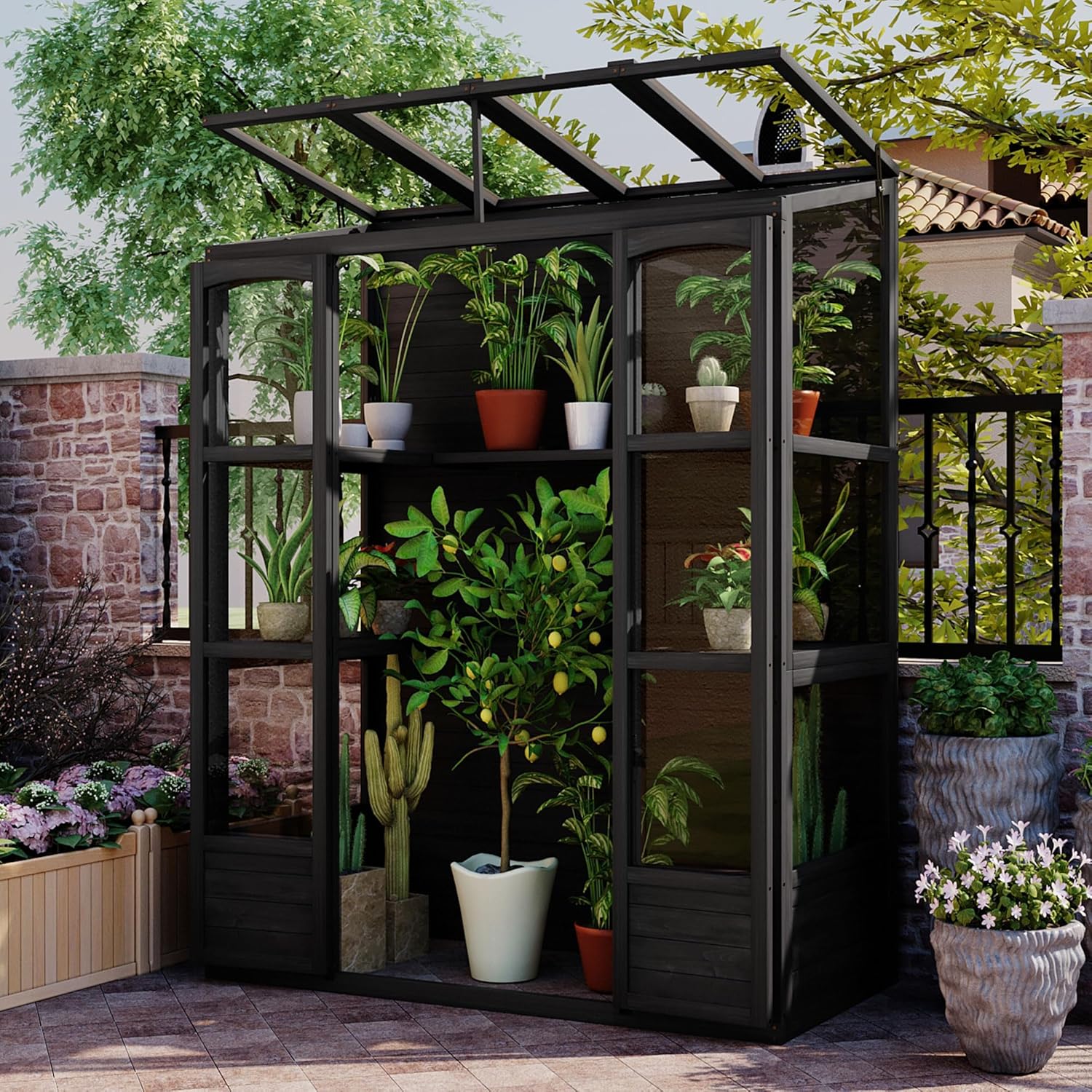 RUNNA 78-inch Wooden Greenhouse Cold Frame with 4 Independent Skylights and 2 Folding Middle Shelves, Walk-in Outdoor Greenhouse for Outdoor Indoor Garden Use (Black#017)
