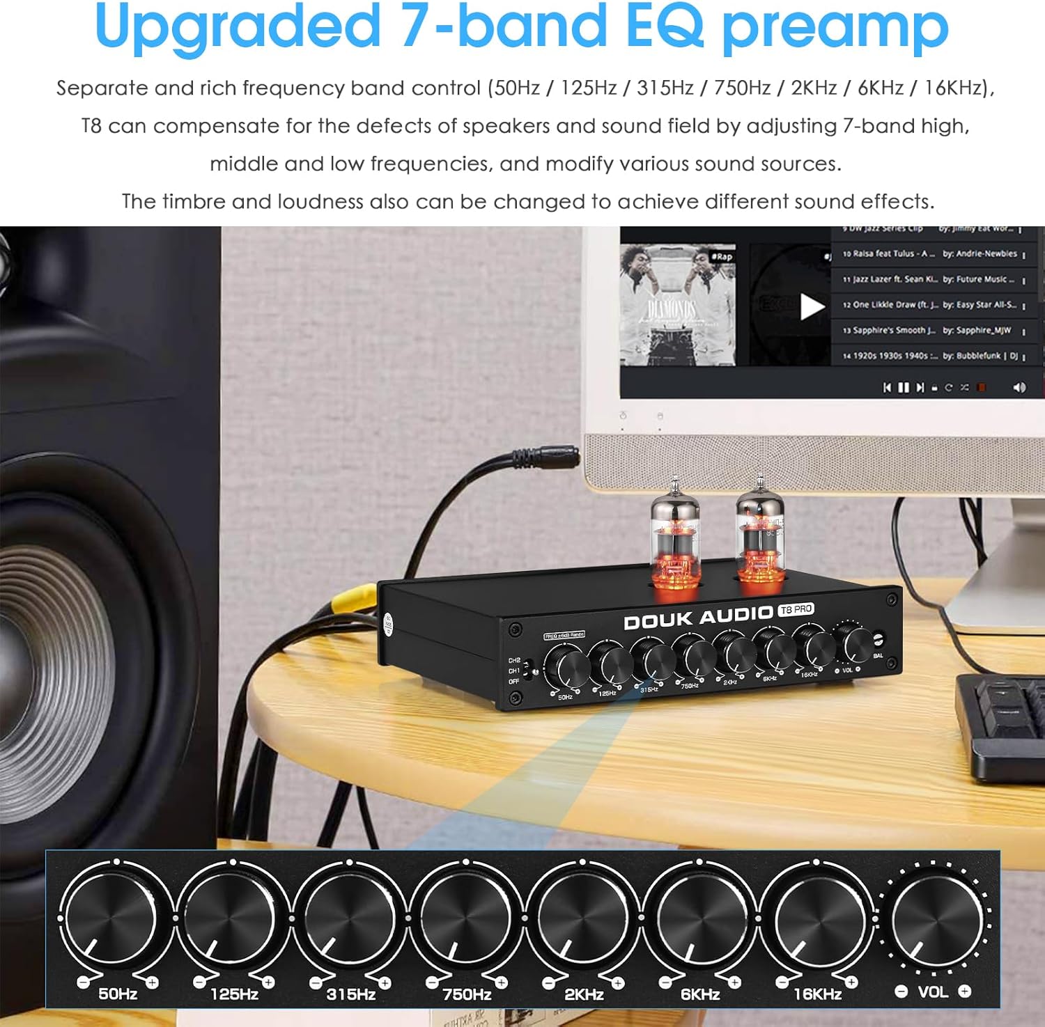 Douk Audio Balanced EQ Preamp: 7-Band Equalizer - Vacuum Tube Preamplifier with XLR RCA Inputs & Outputs - for Home Stereo HiFi System, Amplifiers, Active Speakers (T8 PRO Black)
