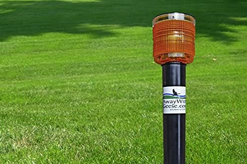 Land Based Unit, Disturbs Geese to Move Away