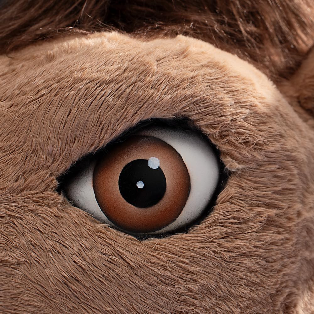 TCDesignerProducts Mustang Mascot Costume, School Spirit Sports Fan Gear, Football Cheerleader Accessories, Homecoming