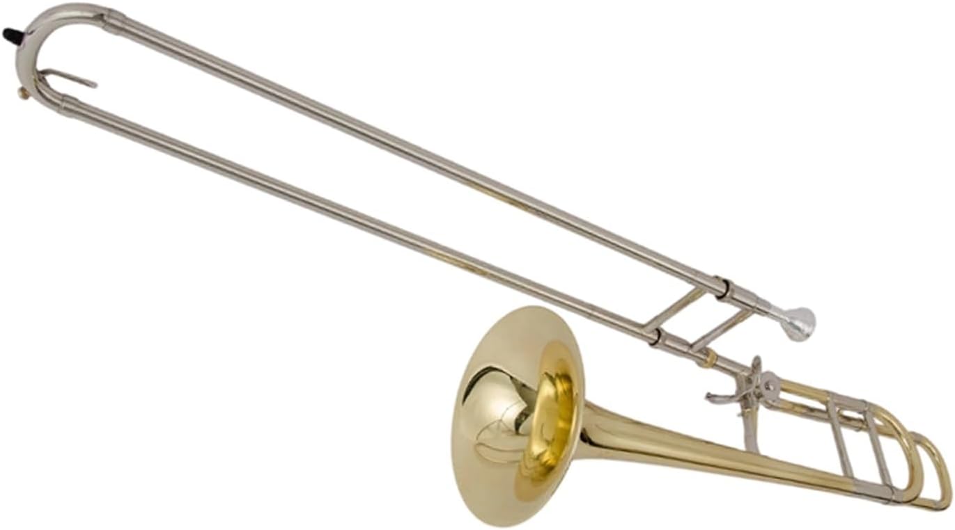 Adult Trombone Instrument Professional Performance Or Practice Of Trombone Instrument B Flat Tenor(4)