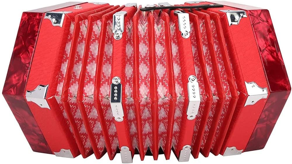 Piano Accordion 30 Keys, Professional 30 Buttons Accordion Concertina Musical Instrument, with Carrying Bag, Excellent Gift for Children Friends