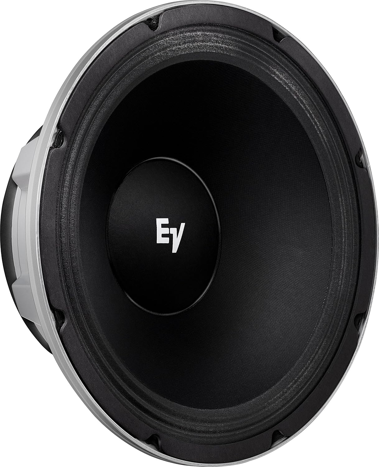 Electro-Voice EVM12L Classic 12