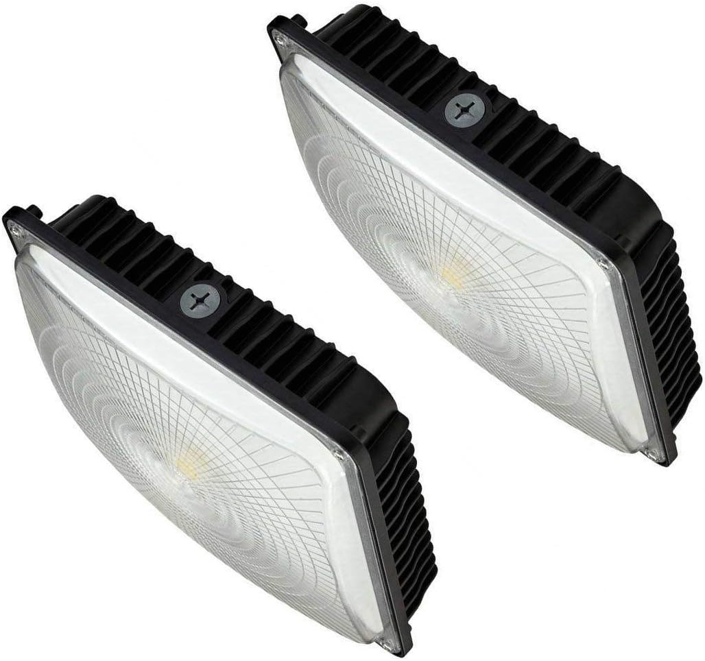 CYLED 65W LED Canopy Light Industrial Waterproof Explosion-Proof Outdoor High Bay Balcony Car Park Lane Gas Station Ceiling Light Equivalent 250W HID/HPS 6500 Lm 5500K DLC Qualified Pack of 2