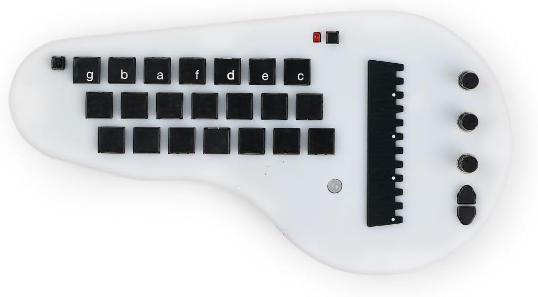 Minichord Synthesizer